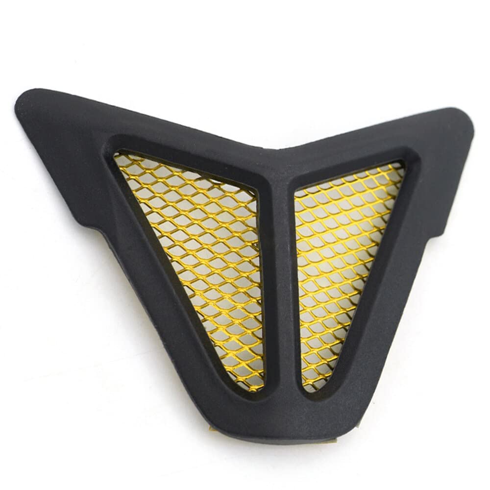 Vagary Air Intake Cover Filter Dust Protection Nose Grill for Yamaha YZF R15 V3 (GOLD)