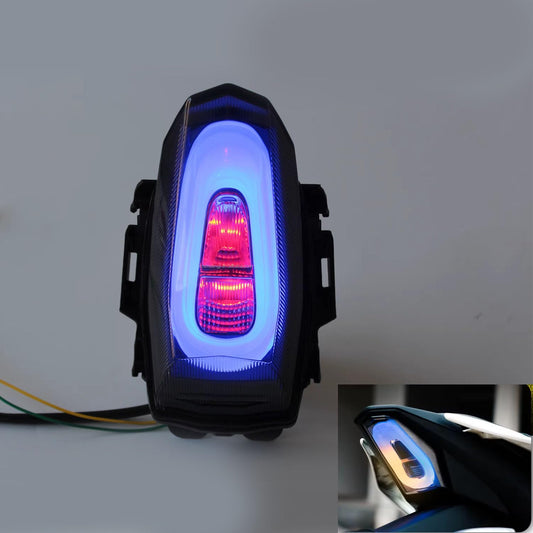 Vagary Tail Light With Flowing Turn Signal Indicator Tail Light for R15 V4, V3, R15M (1Pc)