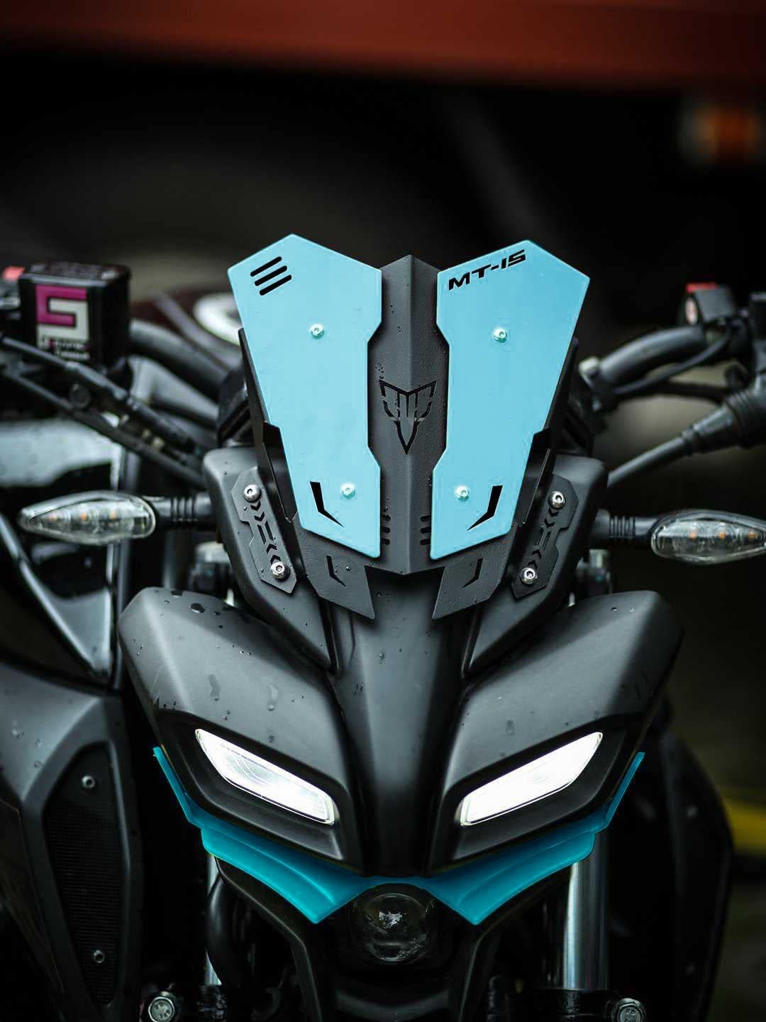 Vagary Luggage Rack/Back Rest/Top Rack for Yamaha MT15 with Visor and Winglet (Sky Blue)