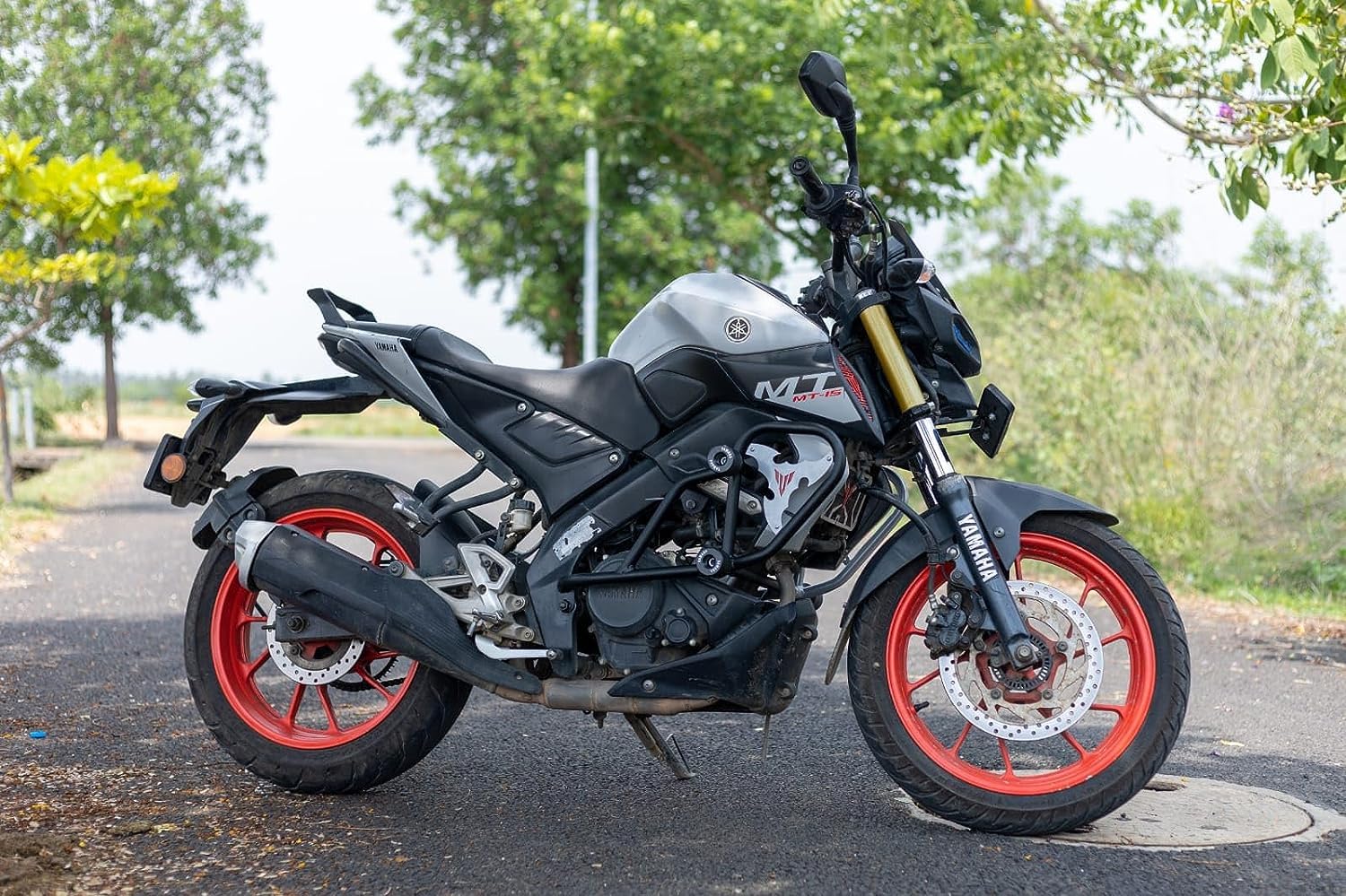 Vagary Tail Protector/Grab Rail for Yamaha MT 15 V1 & V2 (Black)